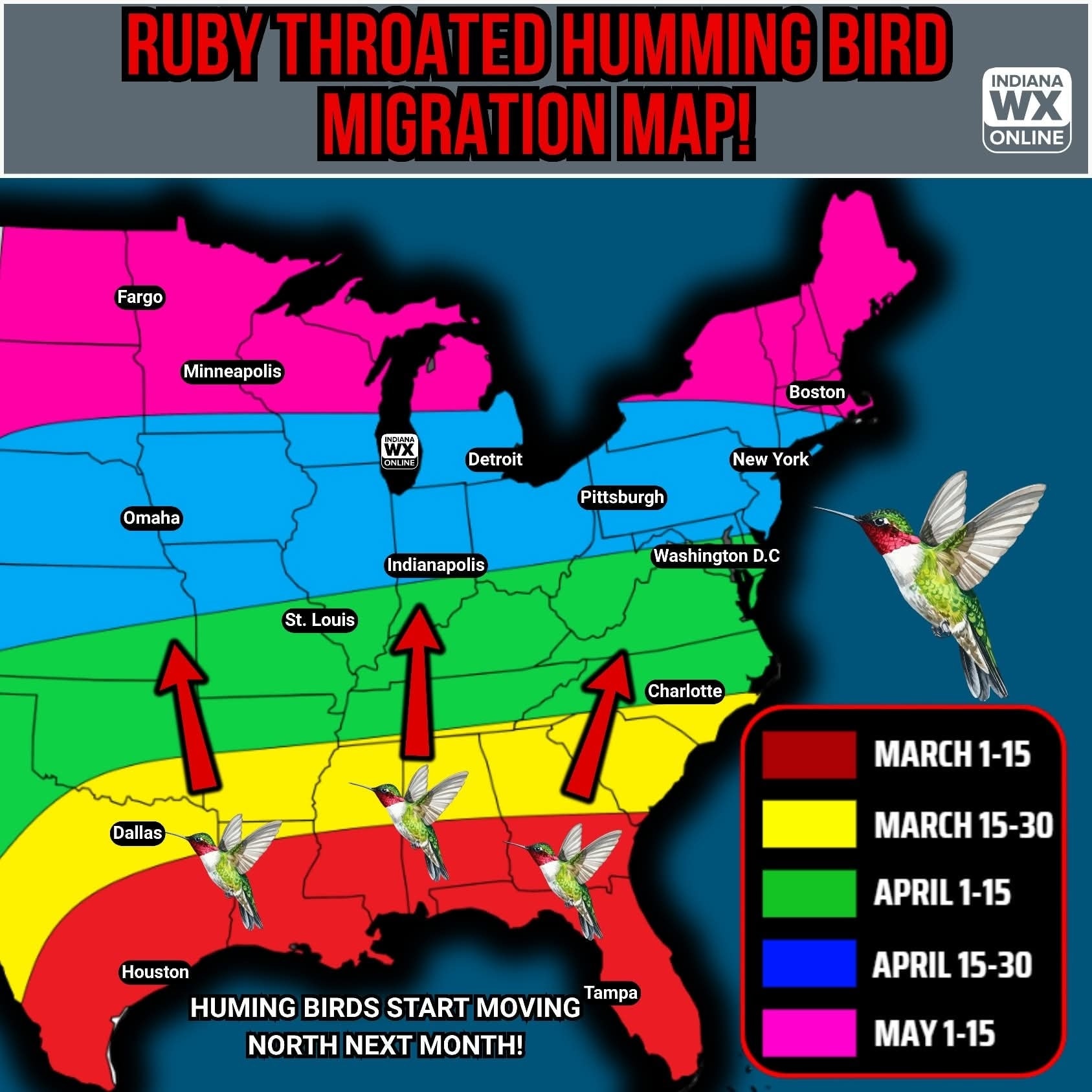 📣 Calling all bird lovers!... - Indiana Weather Online | Facebook