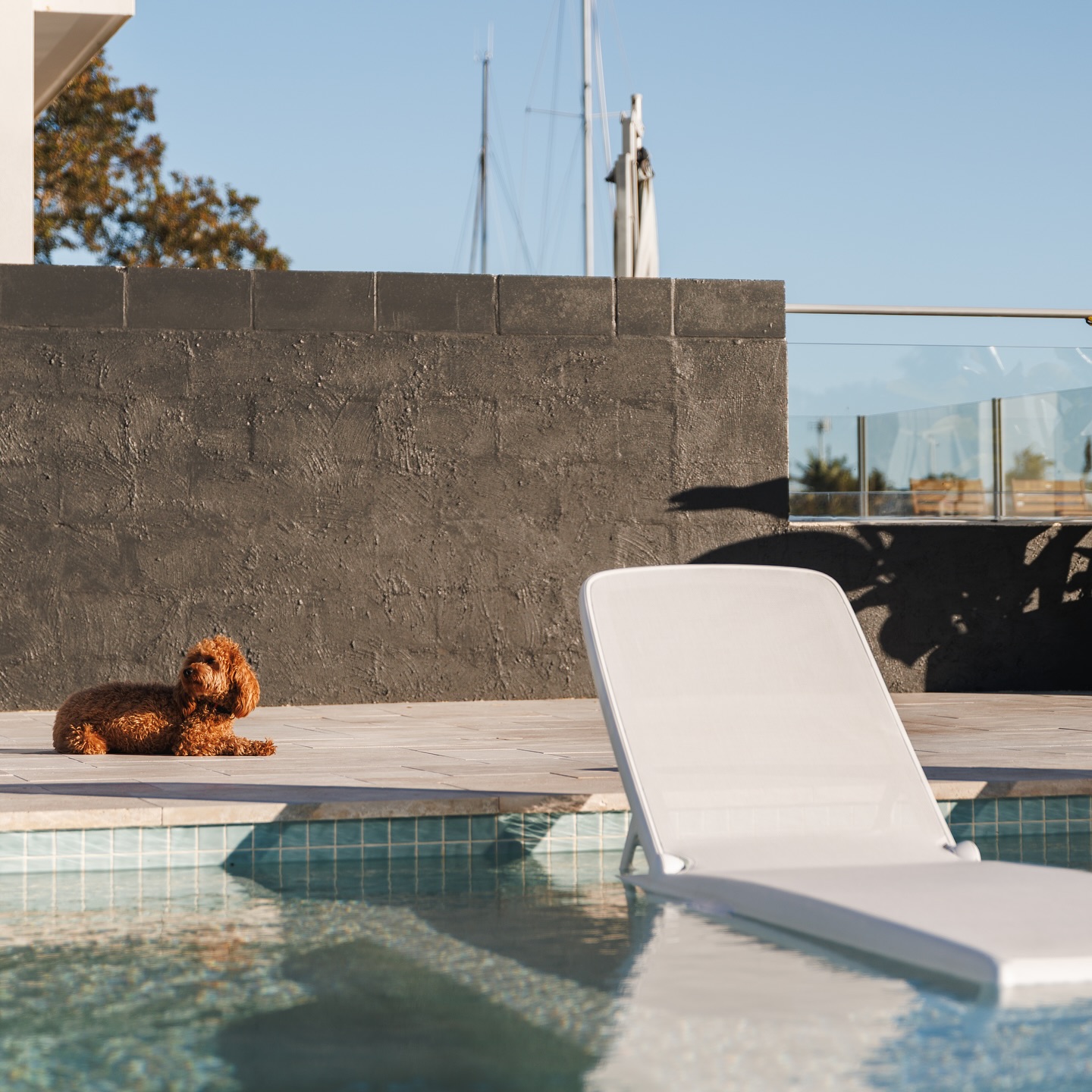 SCX Projects - Pools, Earthworks, Screw Piles | Sunshine Coast QLD