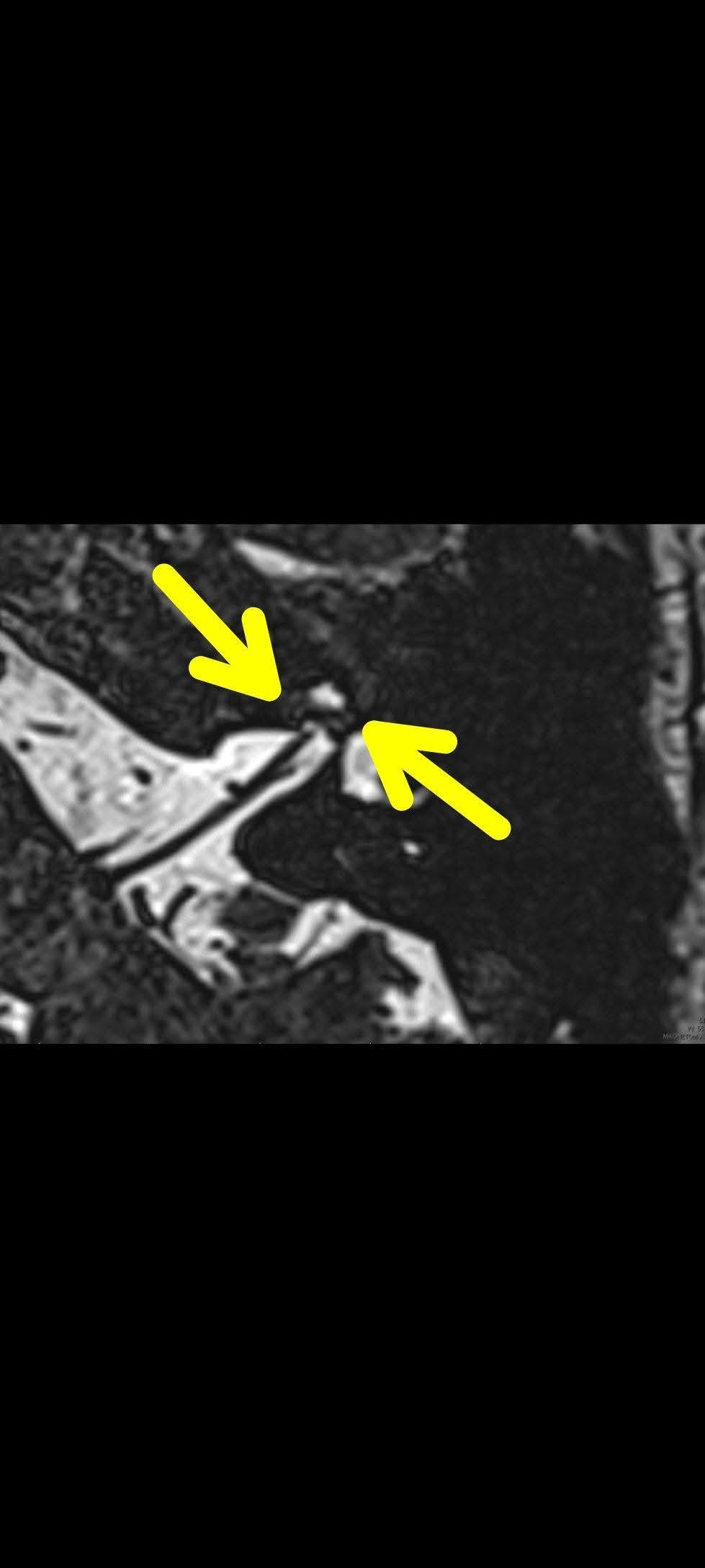 Radiology Students Of A.M.S... - Radiology Students Of A.M.S