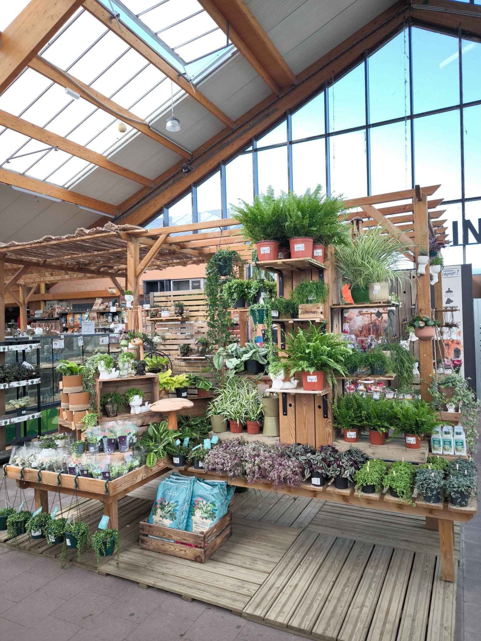 Sitemapcdatahttpshopmixel Thicoipeinfocactus Exterieur Jardiland