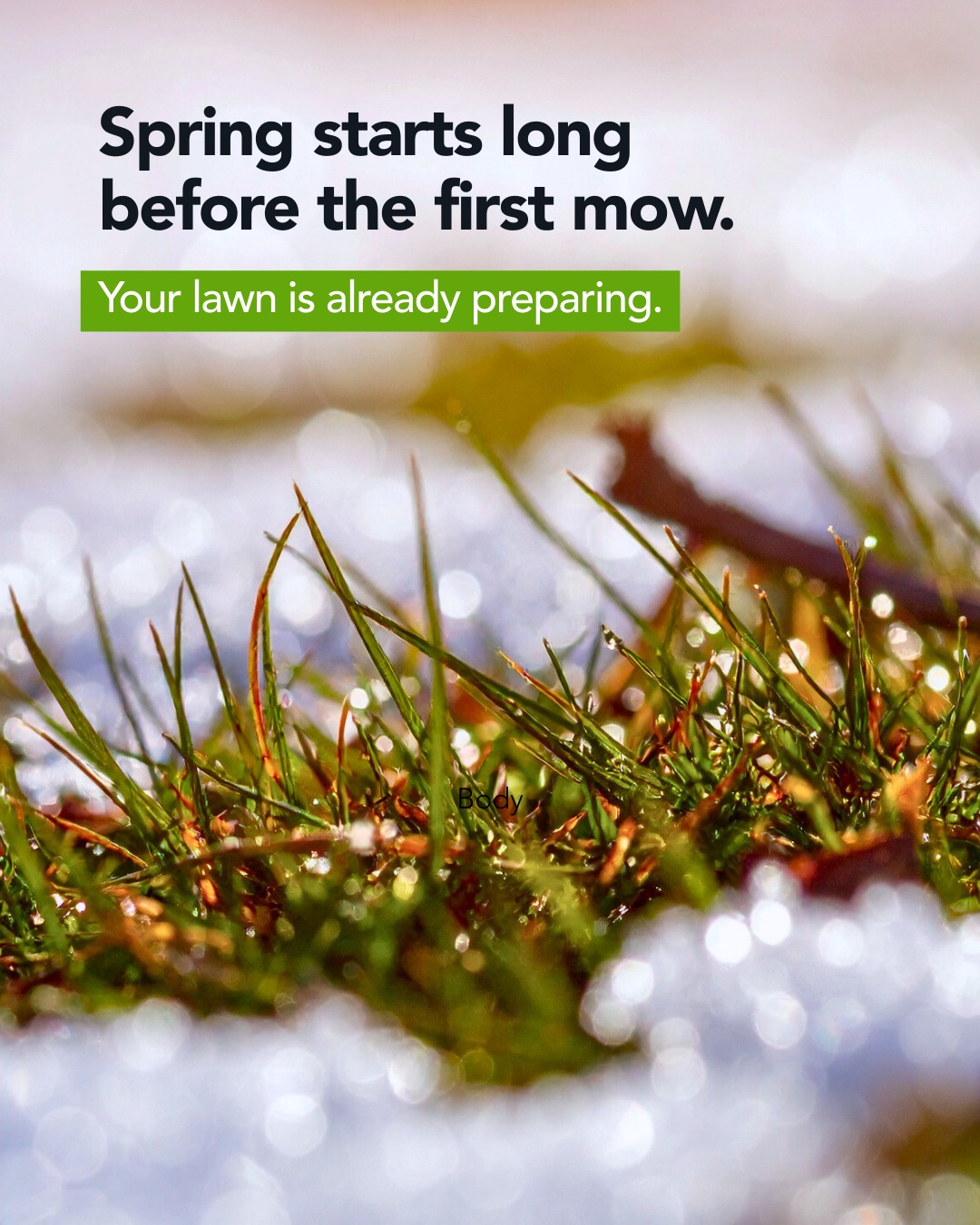 Top - Spring starts long before the first mow. What’s happening now ...