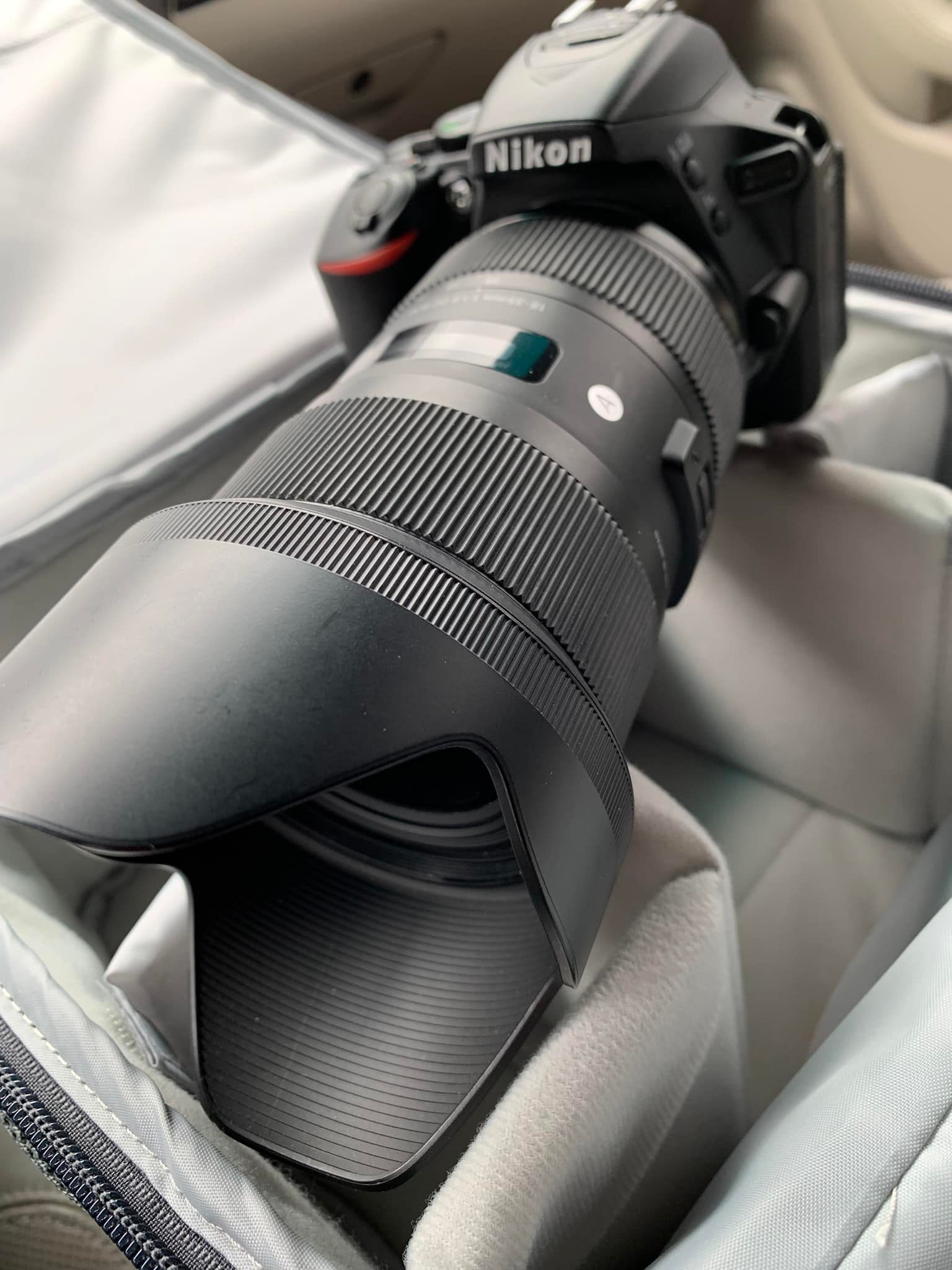 Nikon D5600 vs Z6 with Sigma Art 35mm lens