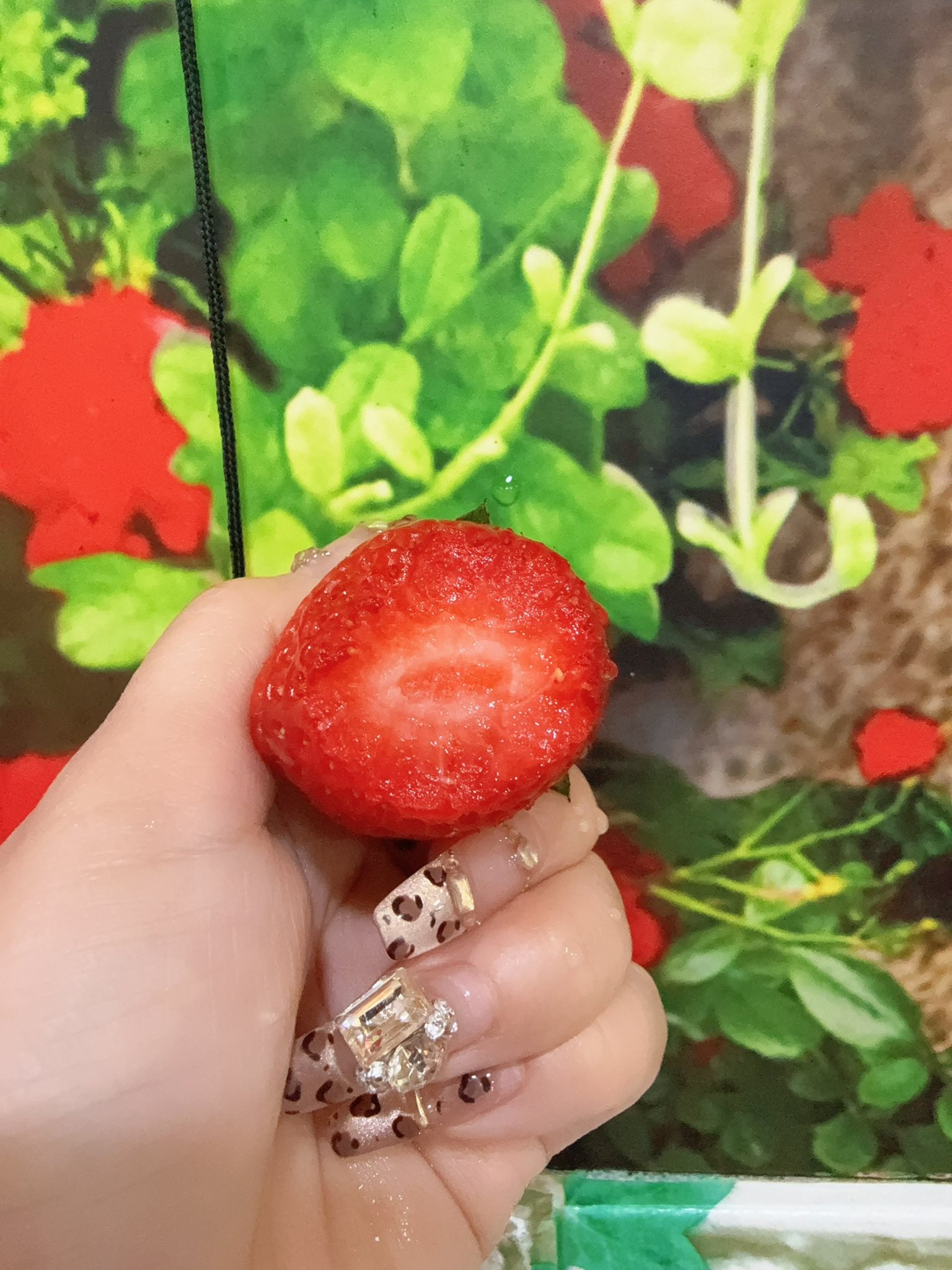 生果鋪 FRUIT SHOP - 生果鋪 FRUIT SHOP added a new photo.
