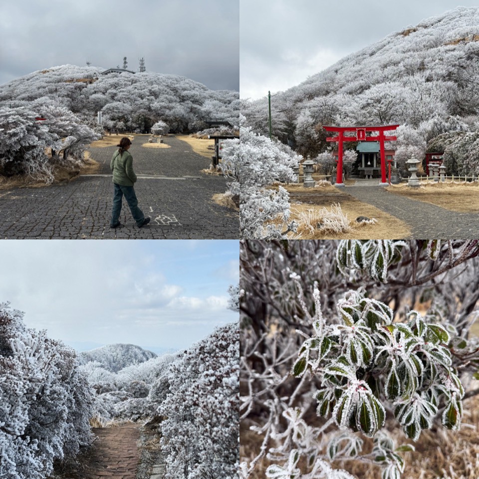 The Leisure - Beppu Ropeway เราเลือกรับรถเช่าที่สถานี Yufuin รอบนี้จอง ...