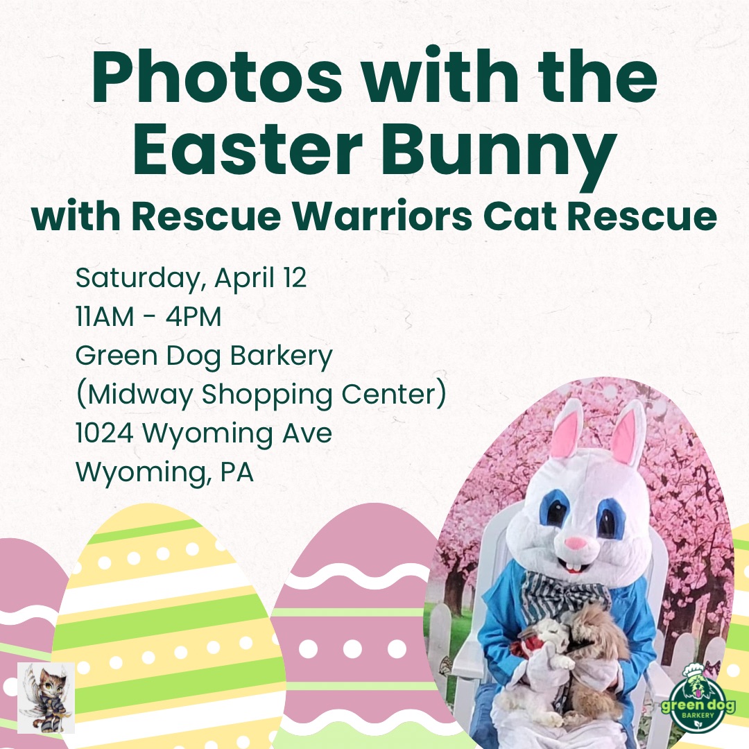 Photos with the Easter Bunny with Rescue Warriors Cat Rescue