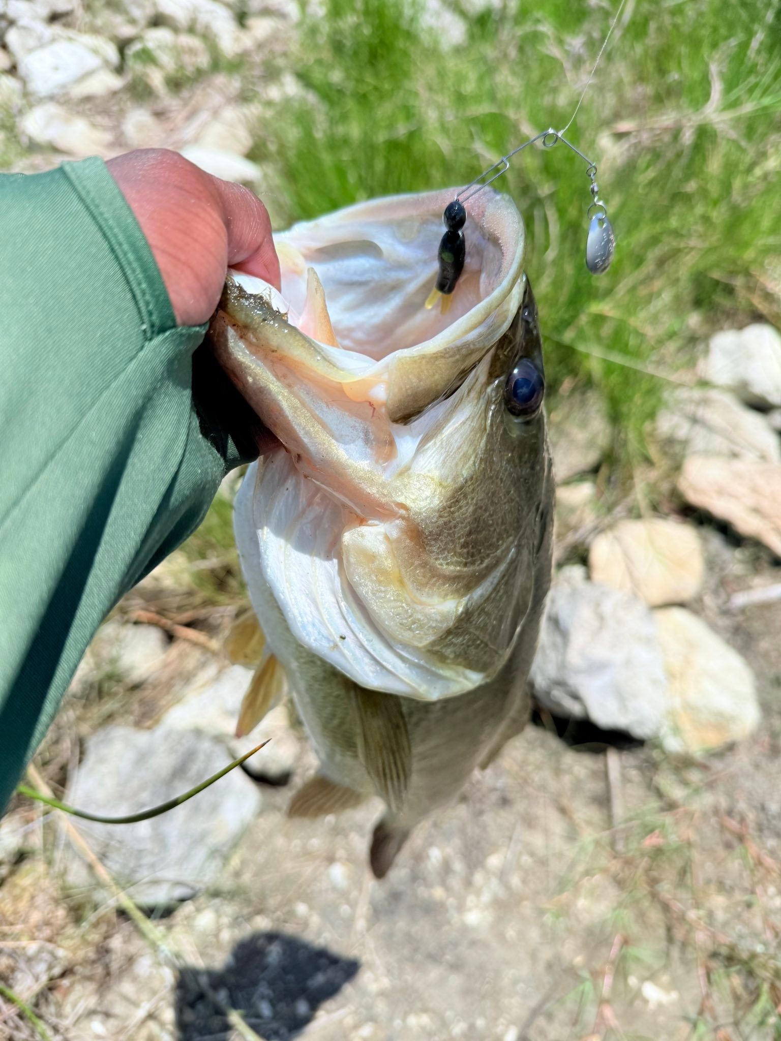 evergreen fishing lures Wide Seeker 145mm 28.5g Floating #858 Catfish Pink Berry STEELHEAD Alltackle 6 Combo Package Color:UV Glo Perch At rest
