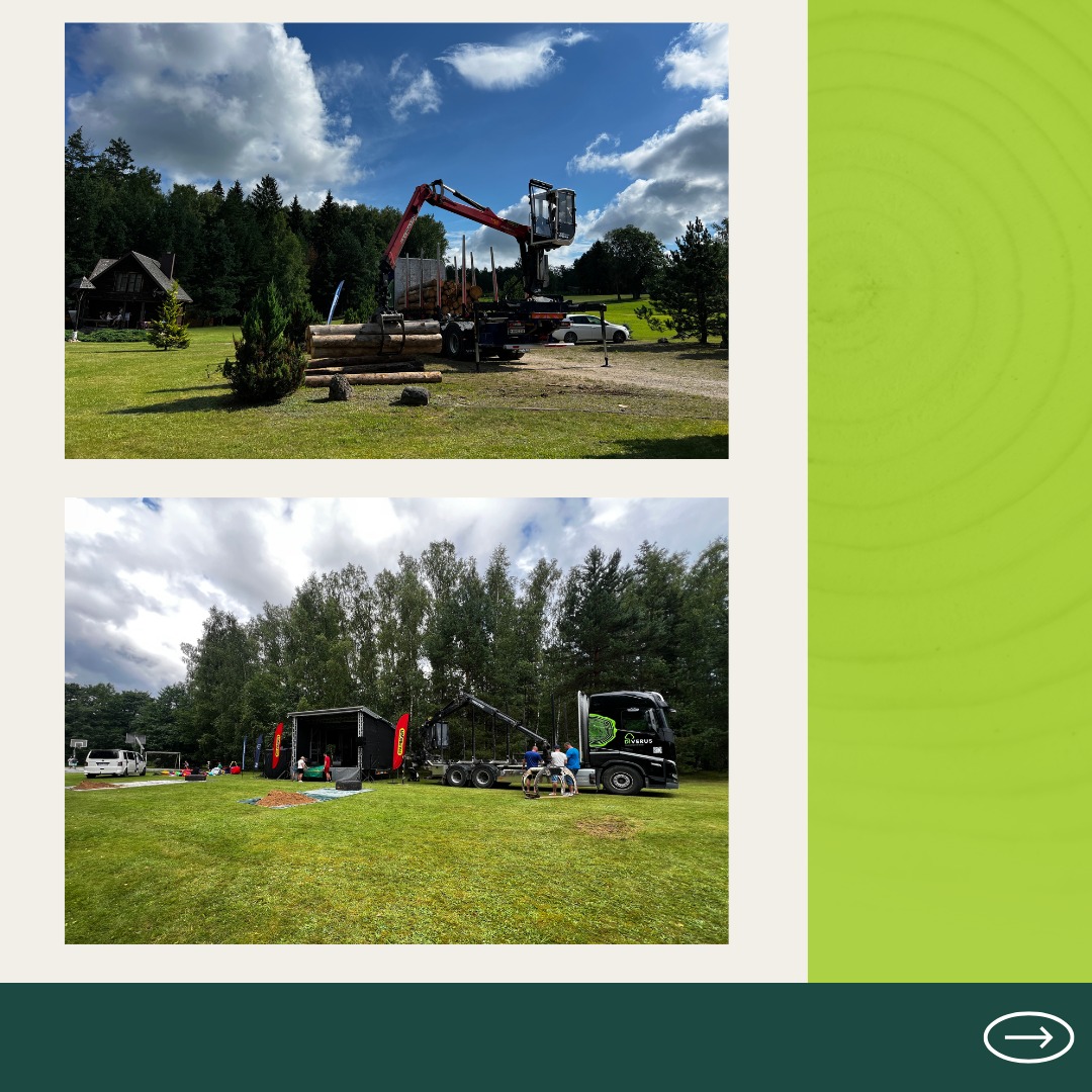 DIVERUS - your partner for wood | Vilnius