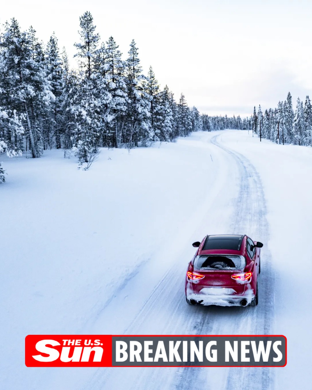 The US - BREAKING: 'Exploding' trees warning for Americans as ...