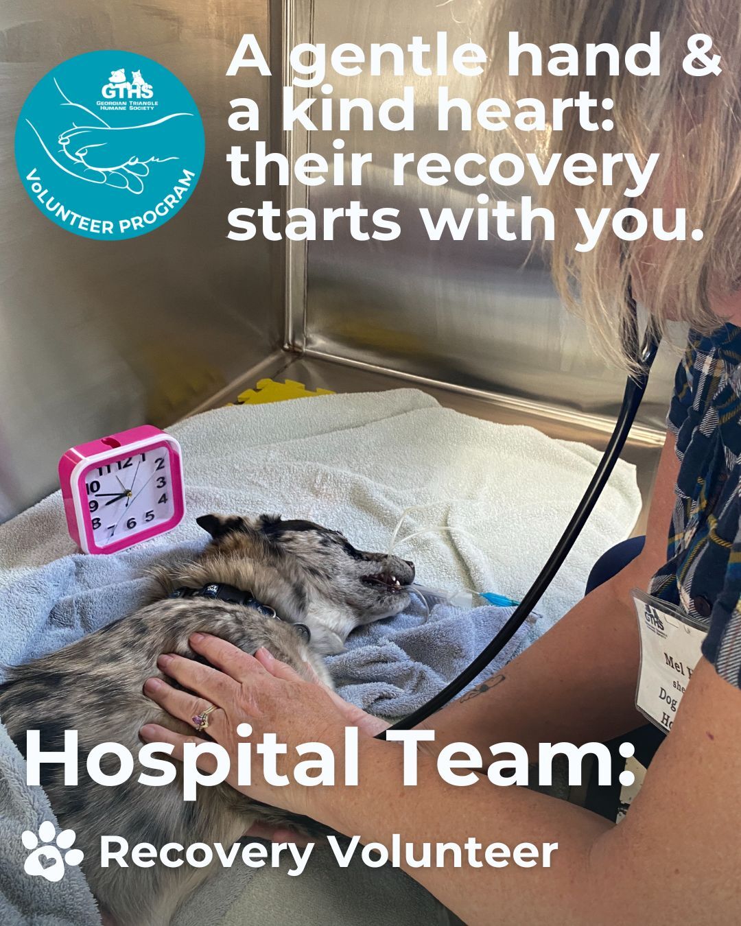 For pets accessing our... - Georgian Triangle Humane Society | Facebook