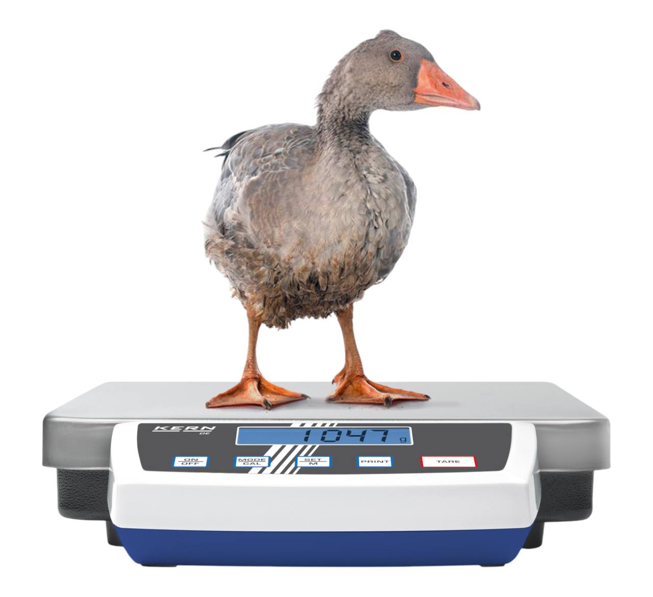 LibraTech ApS