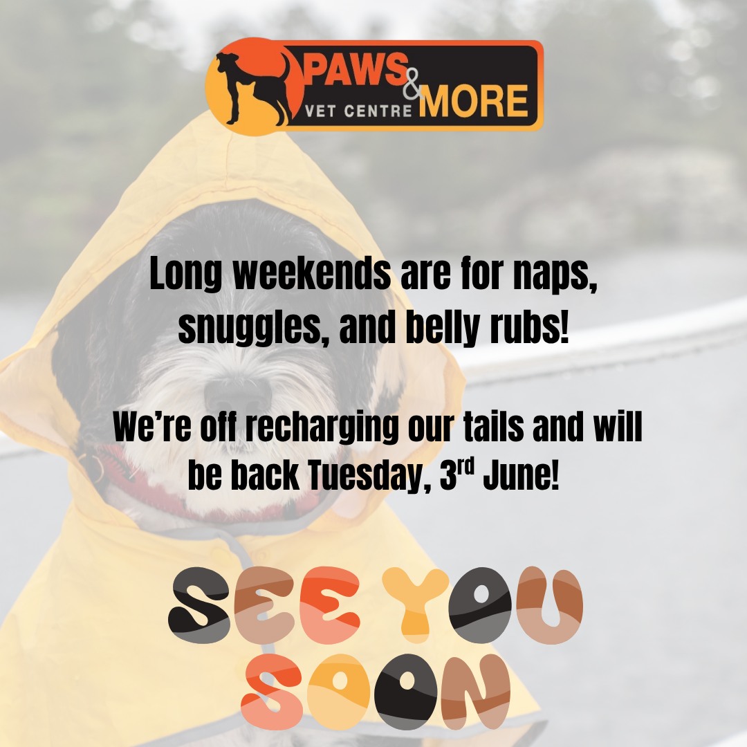 🎉🐾 Long Weekend Alert! 🐾🎉 Paws... - Paws & More Vet Centre | Facebook
