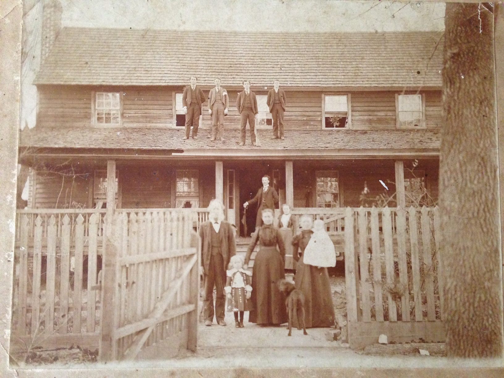 It's National Dog Day. Pictured... - Lexington County Museum | Facebook