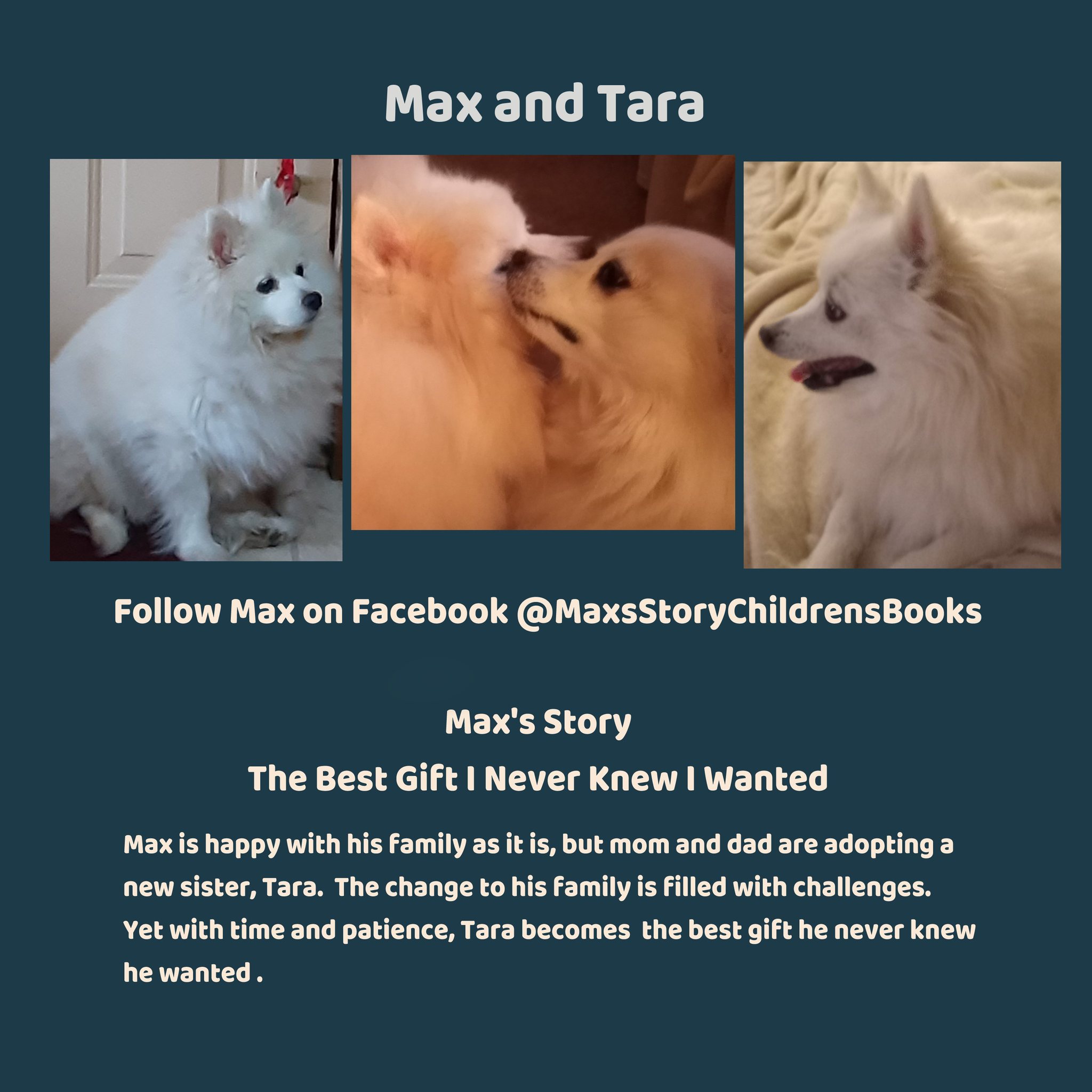 Max’s Story - A series for children