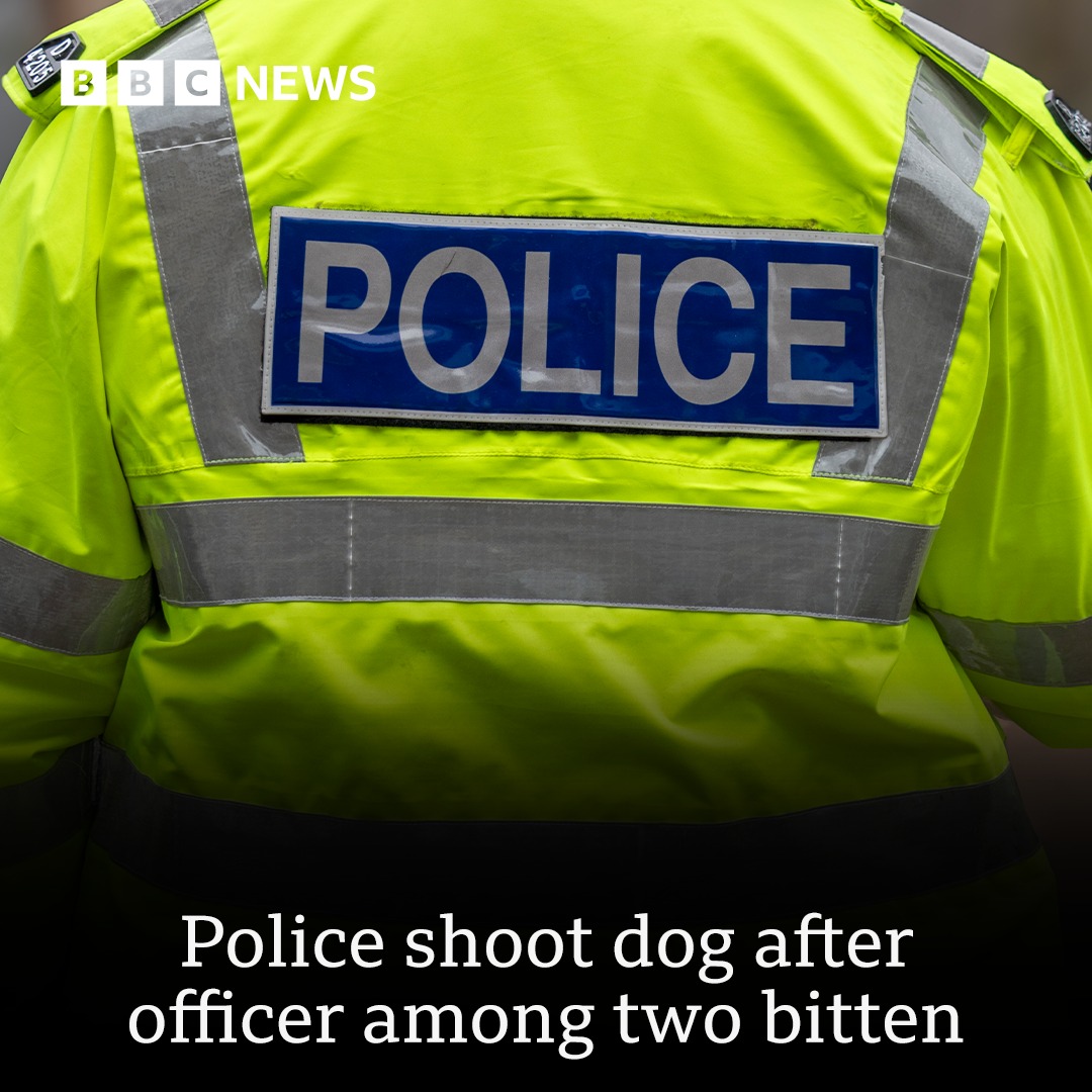 BBC York - A dog has been shot dead by police after biting... | Facebook