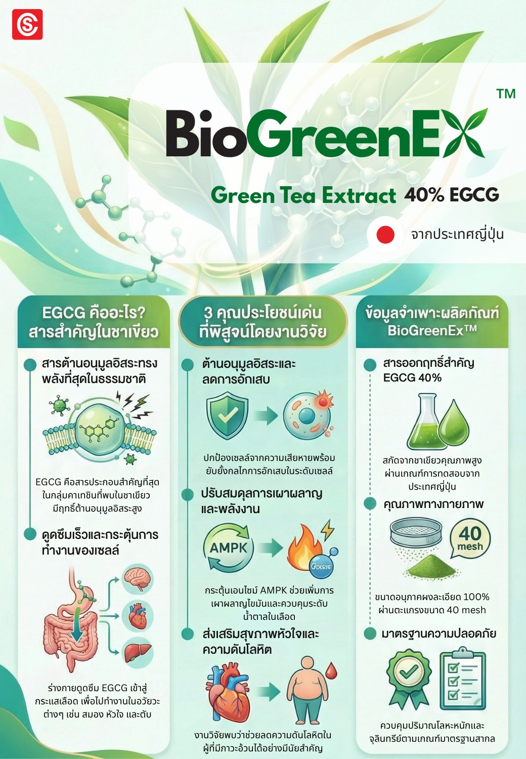 Chem - BioGrenEx™ Green Tea Extract EGCG 40% จากชาเขียวญี่ปุ่น 🔬 ดูแล ...