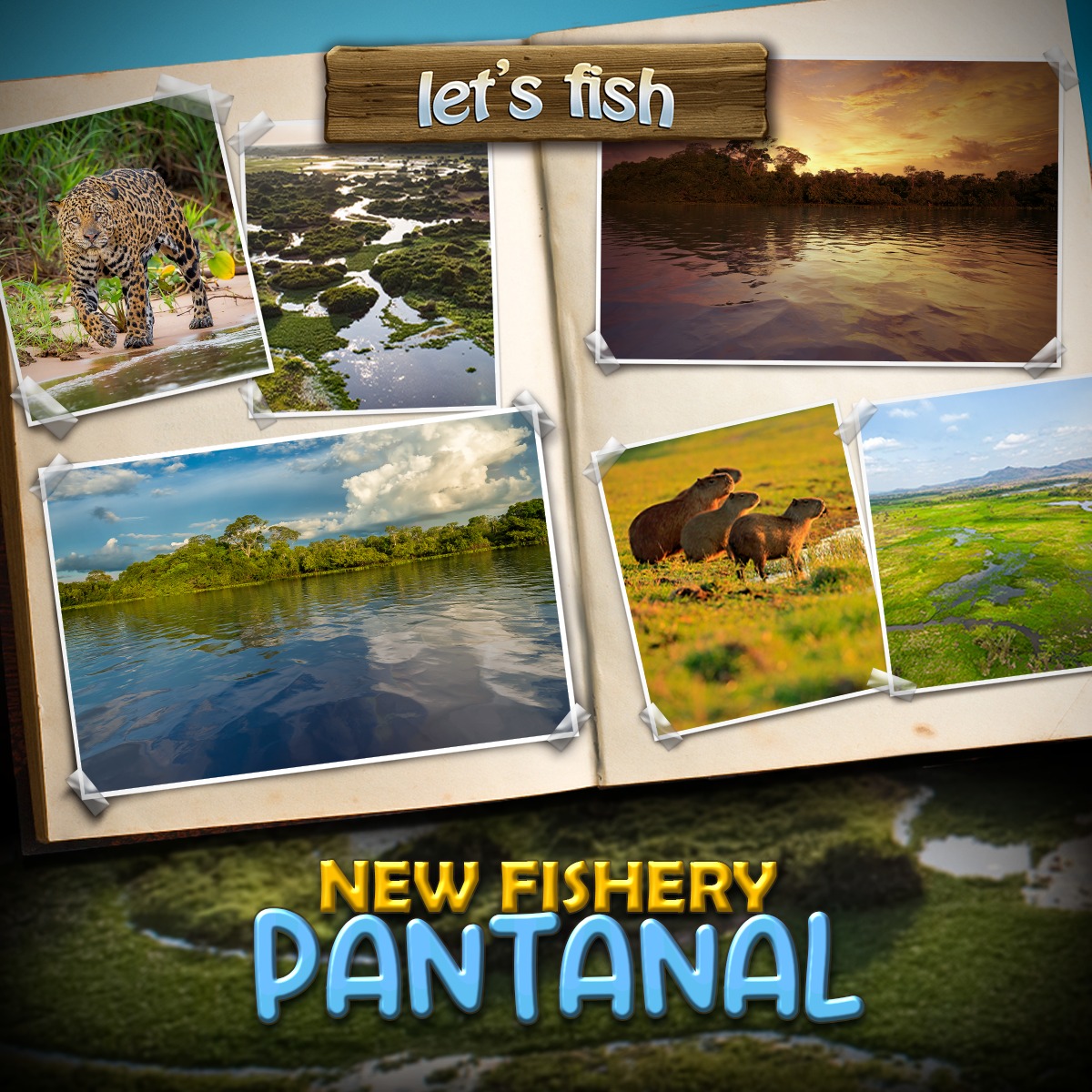 Let's Fish