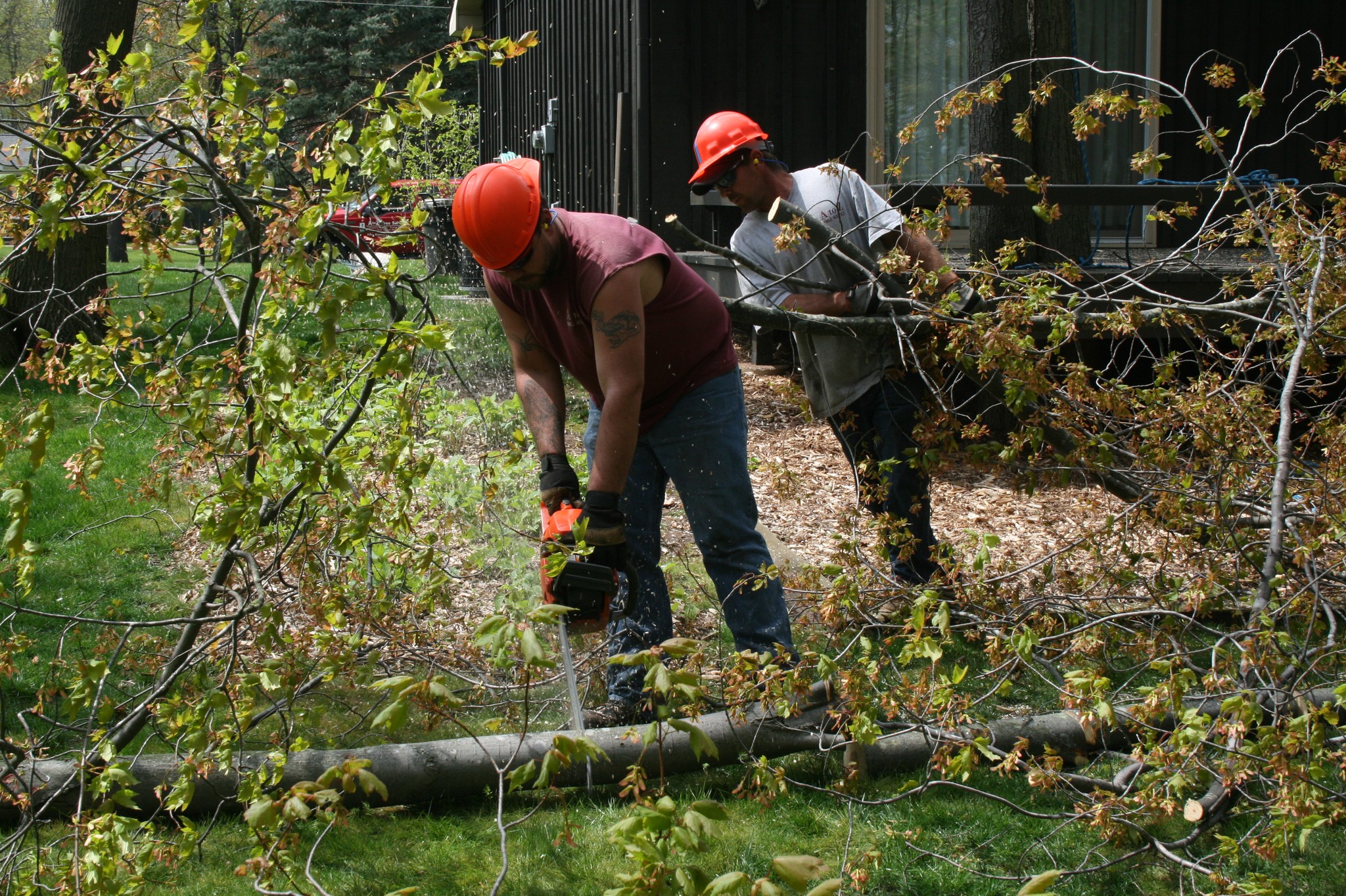 A to Z Tree Service, llc | Suamico WI