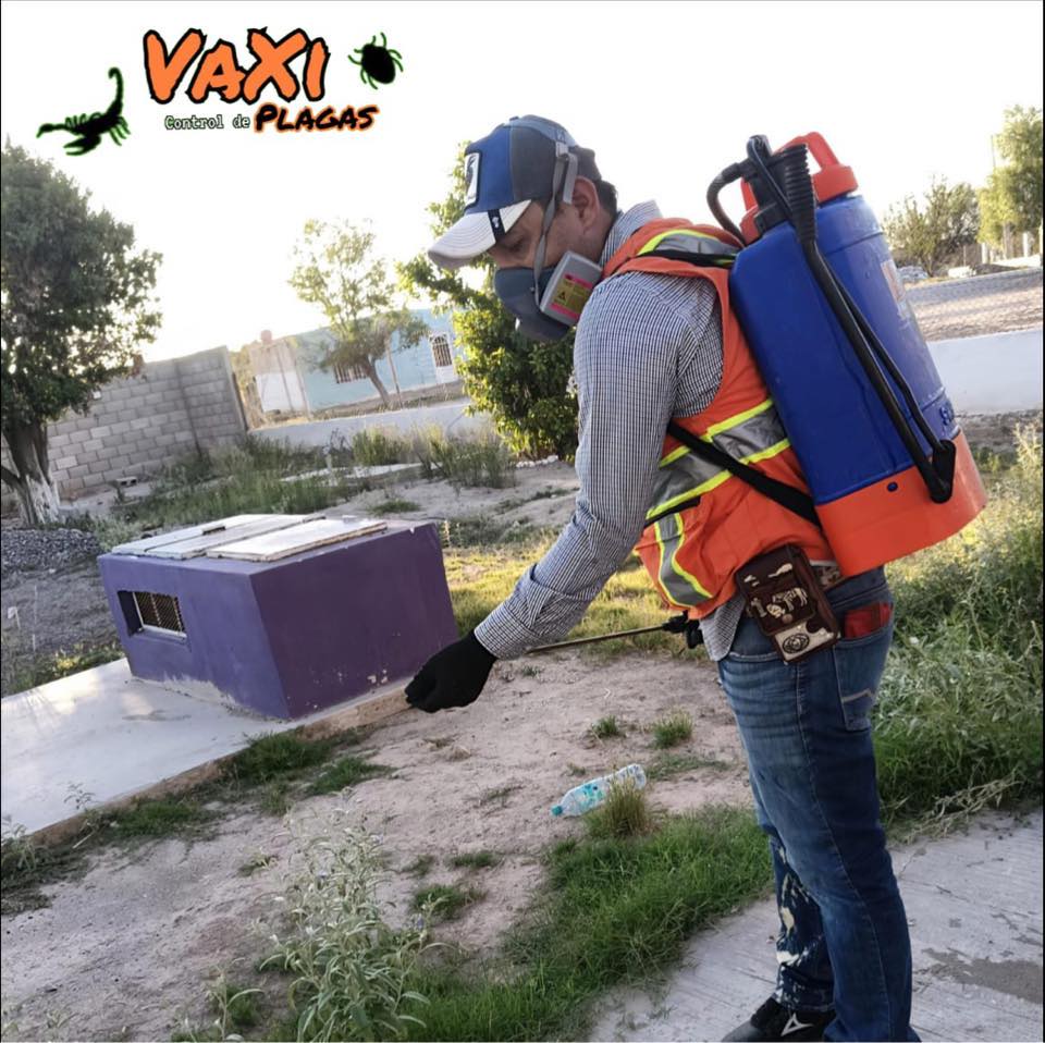 Control de plagas VaXi