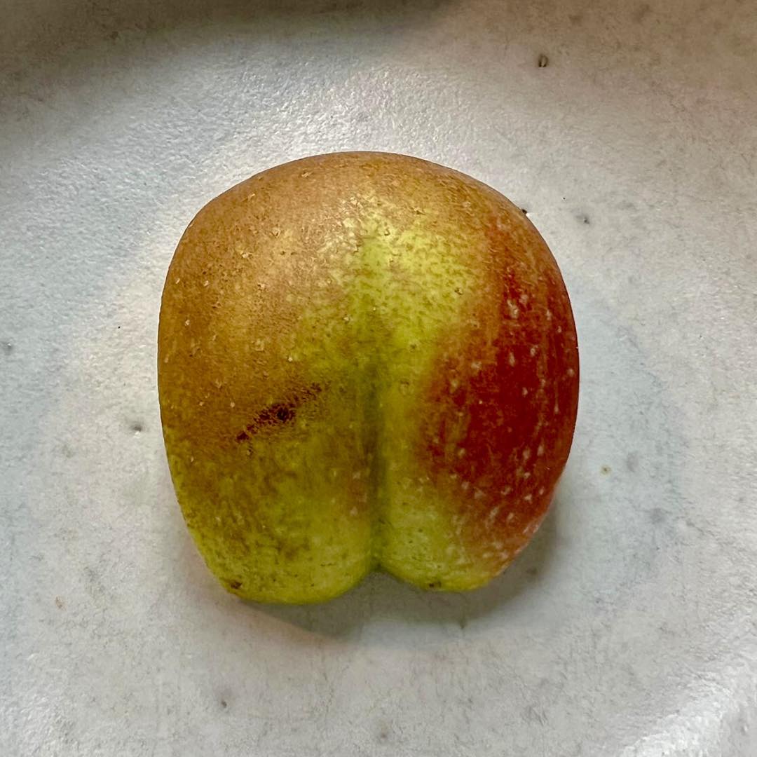 Cheeky fruits What kind of a cheeky fruit is this for a Monday or