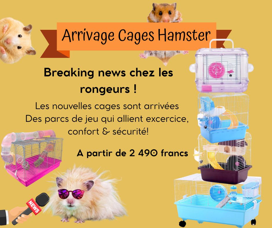 Hamster Cage Swap On Facebook Reference: Cages Pour Hamsters À Nouveau En Plumes Et Poils Nc