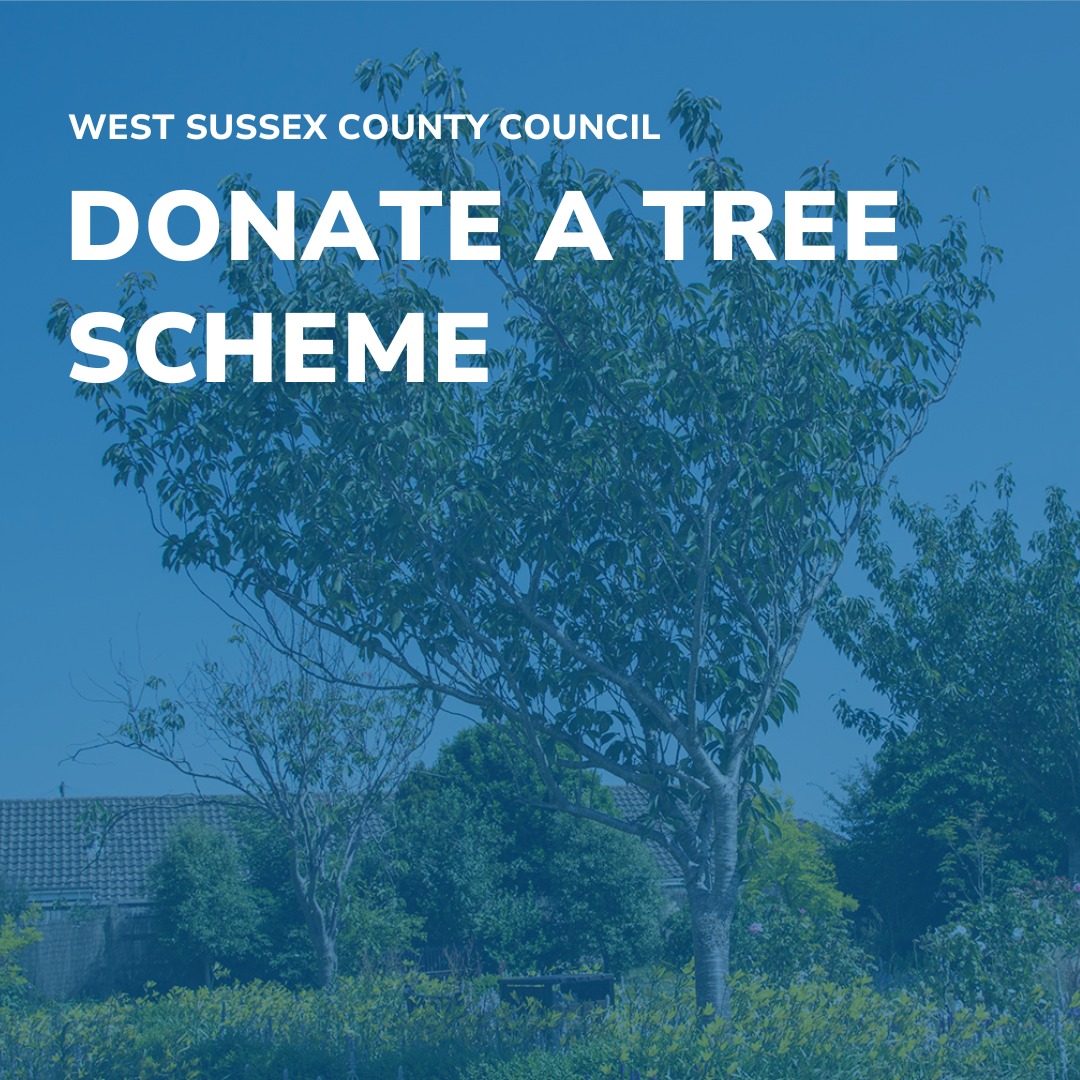 🌳 Donate a Tree Scheme 🌳 Through... - Lancing Parish Council | Facebook