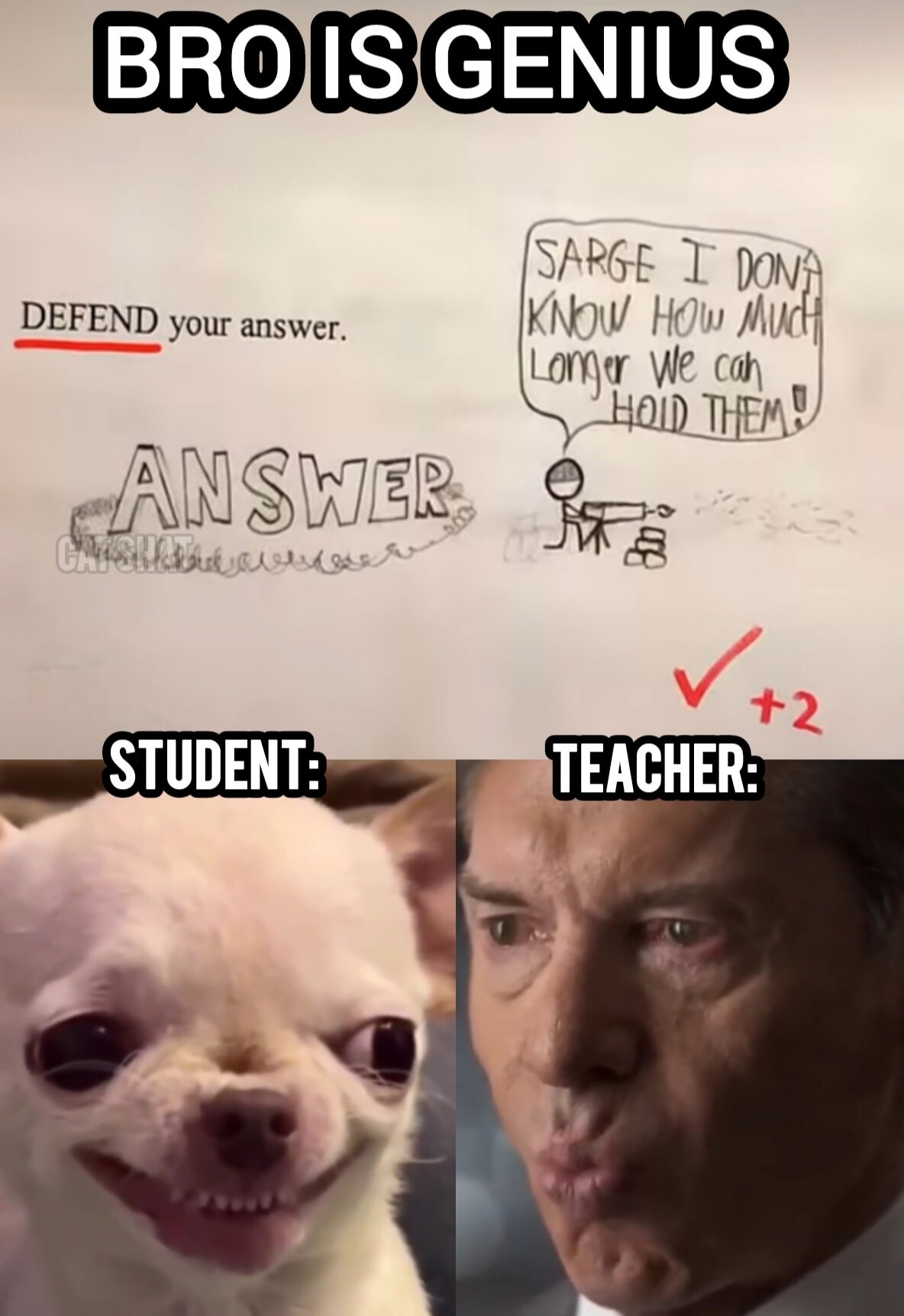 Cat - Defend your answer 🌚☠️ | Facebook