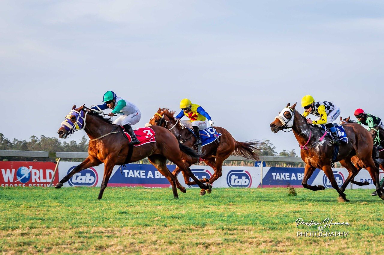 Gavin Smith Racing Stables... - Gavin Smith Racing Stables