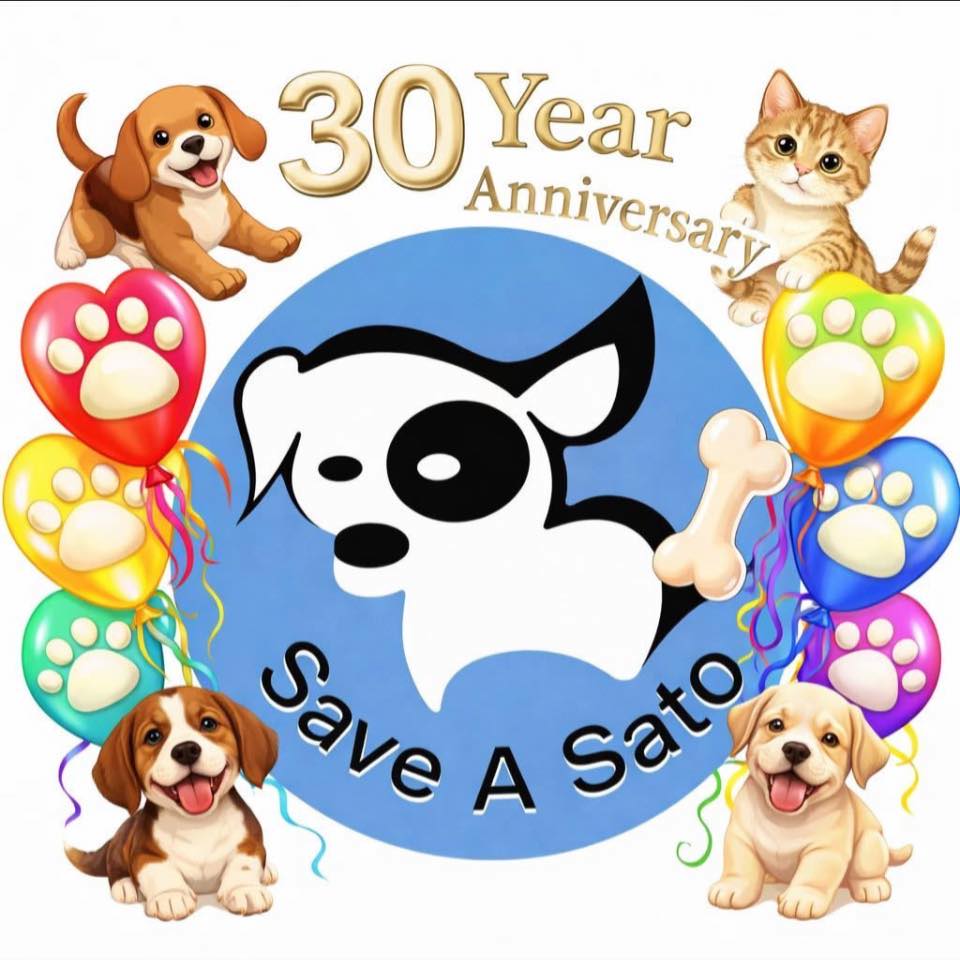 WHAT KIRA’S STORY TEACHES US…..The Sato Project started 13 years ago as ...