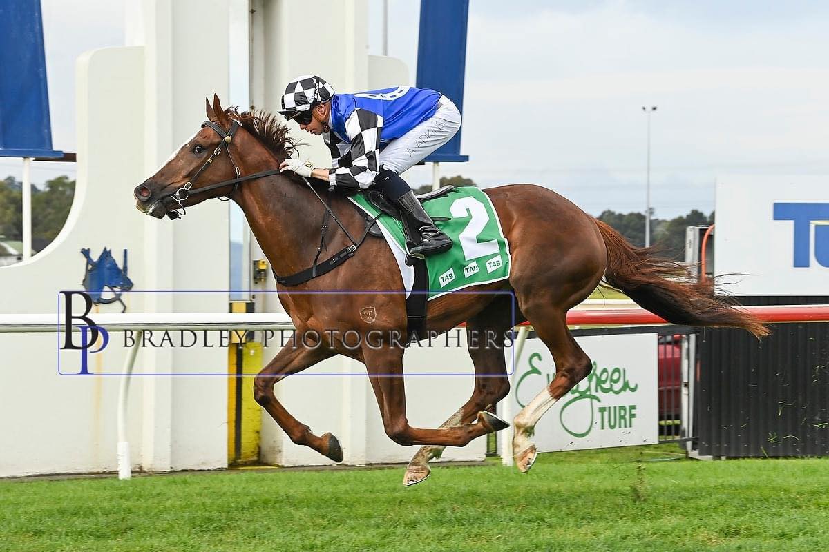 Doyle Racing - Doyle Racing have one Runner at Wyong... | Facebook