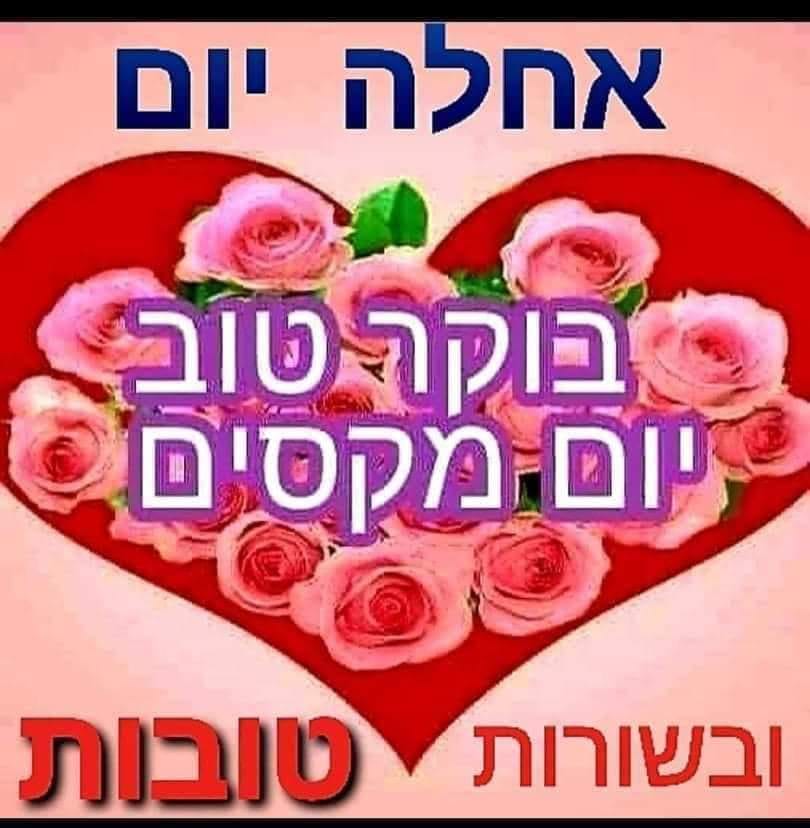 תמי סמדג'ה אהבת חינם ‼️