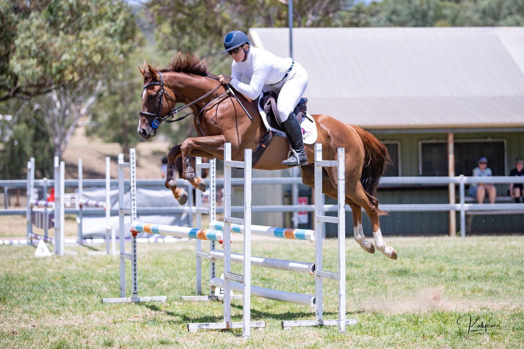 Flinton Park Equestrian | Meringandan West QLD