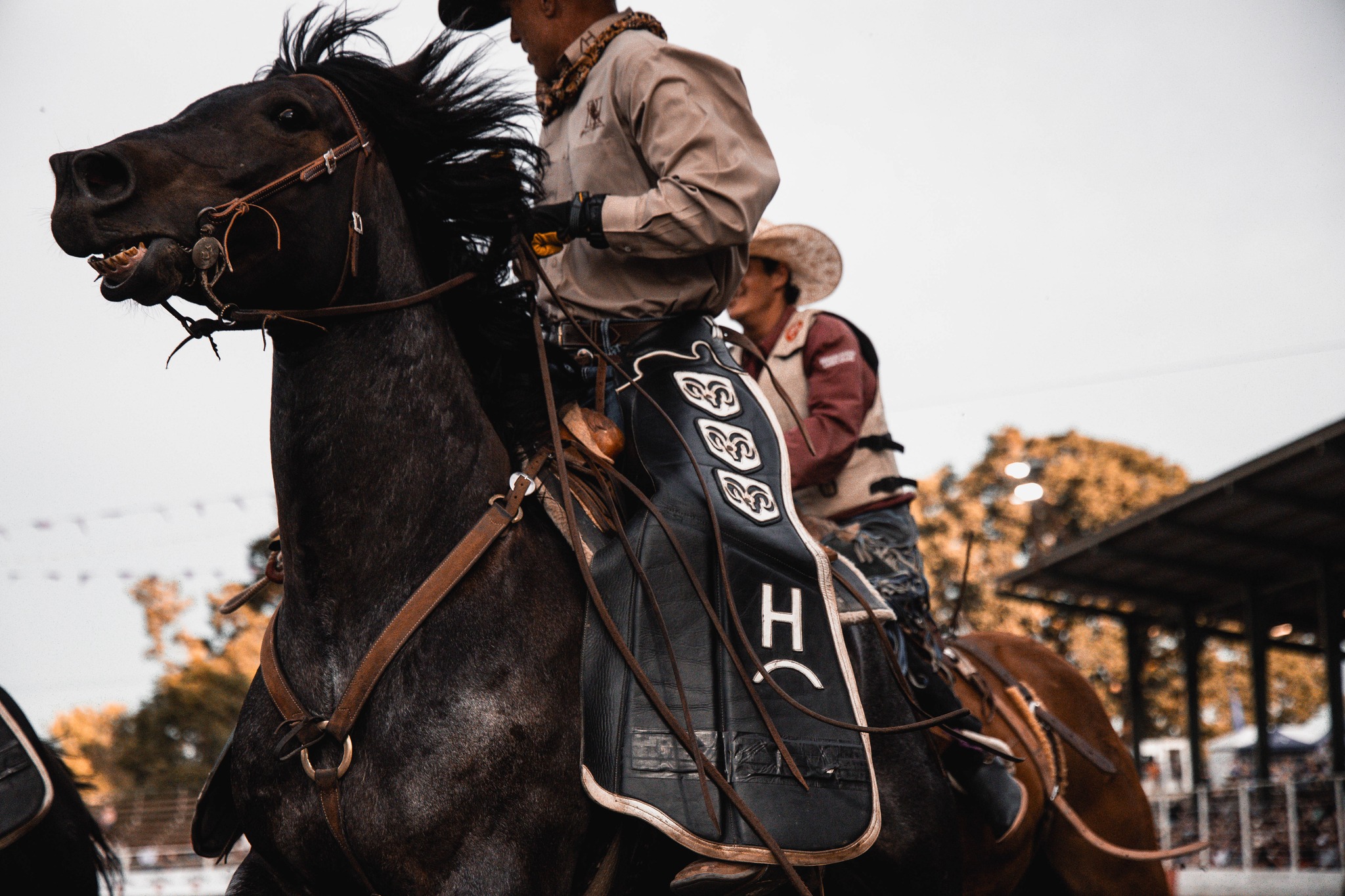 Trisha Price Photography