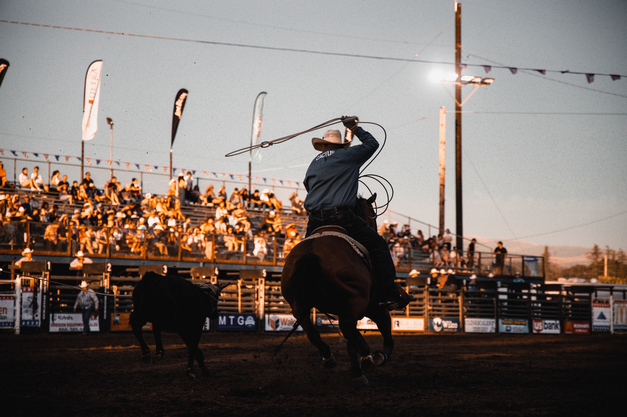 Trisha Price Photography