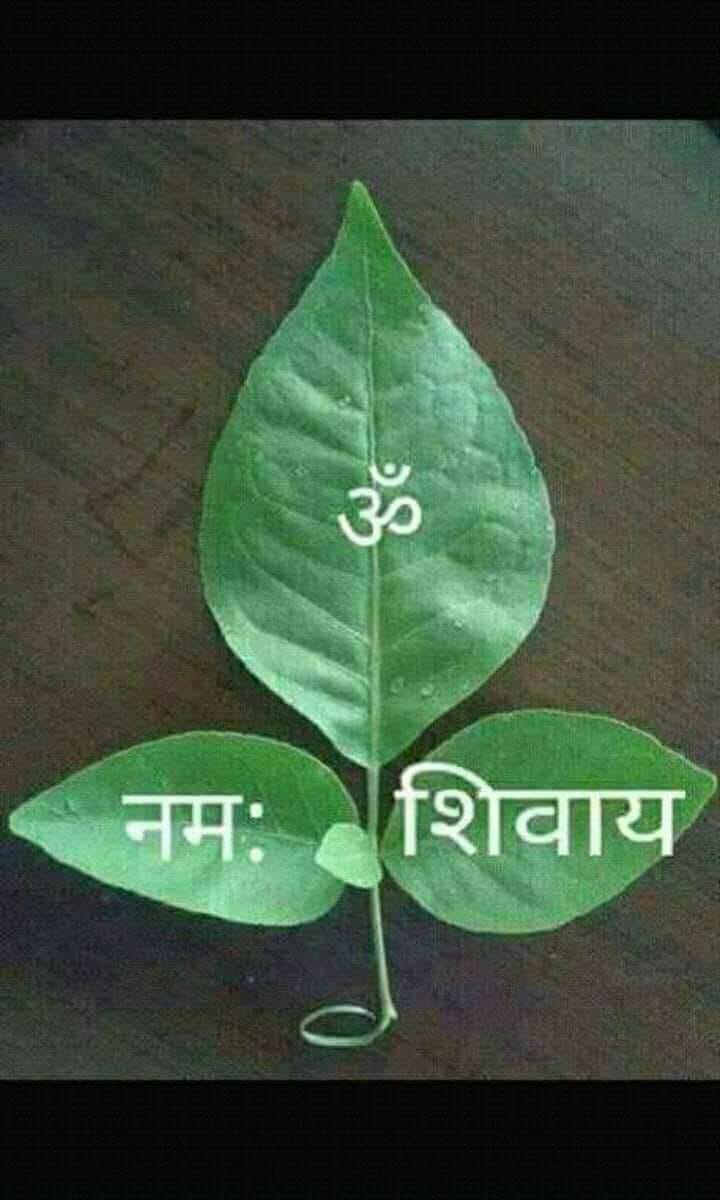 Om Namah Shivay Lord Shiva Home Facebook