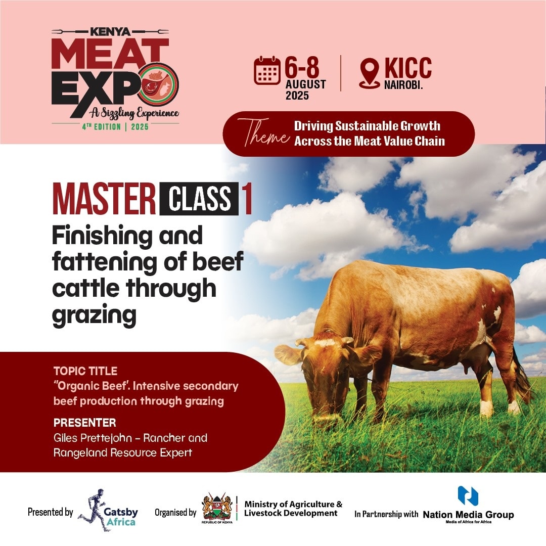 NTV - *Masterclass Alert: Finishing & Fattening of Beef Cattle Through ...