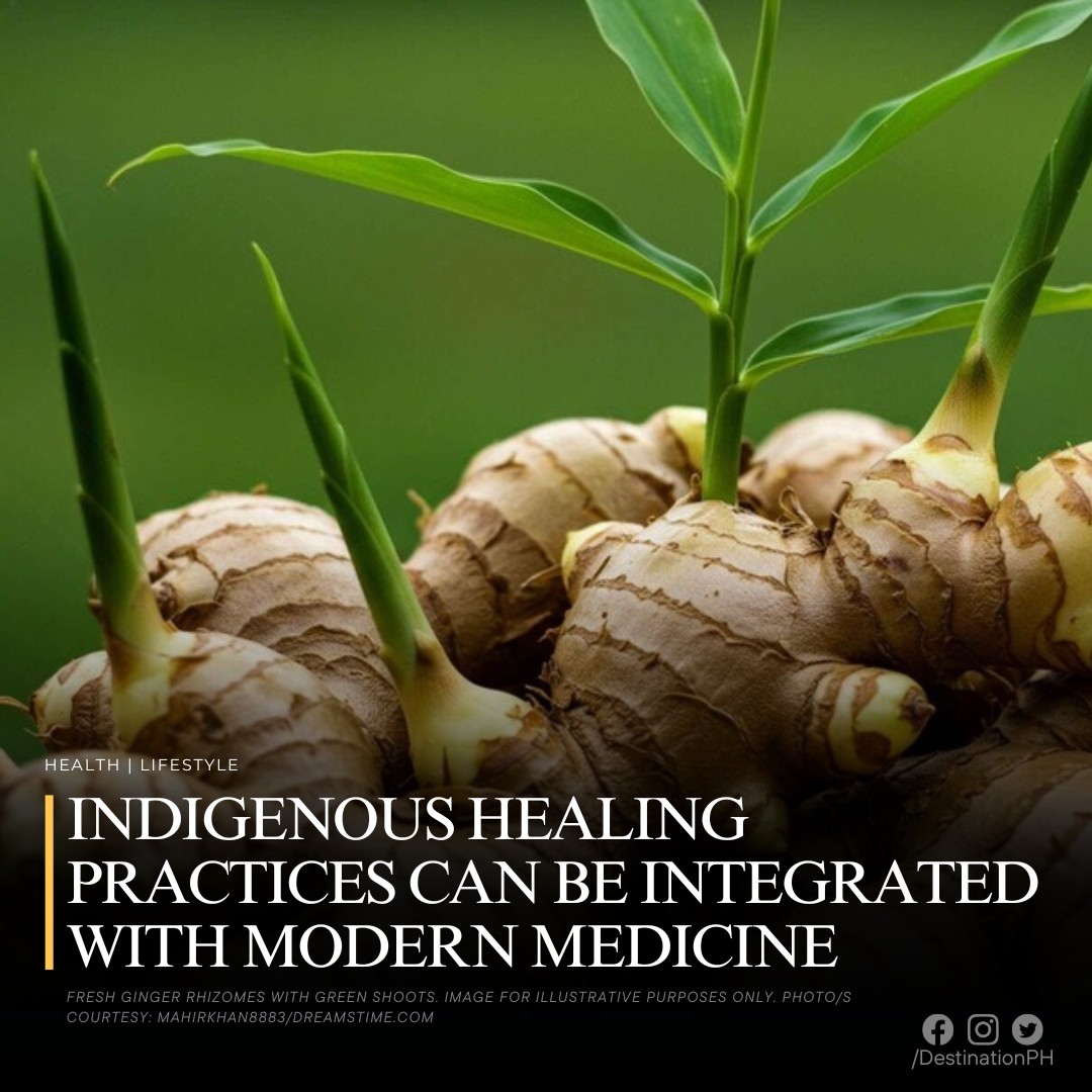 Destination - INDIGENOUS HEALING PRACTICES CAN BE INTEGRATED WITH ...