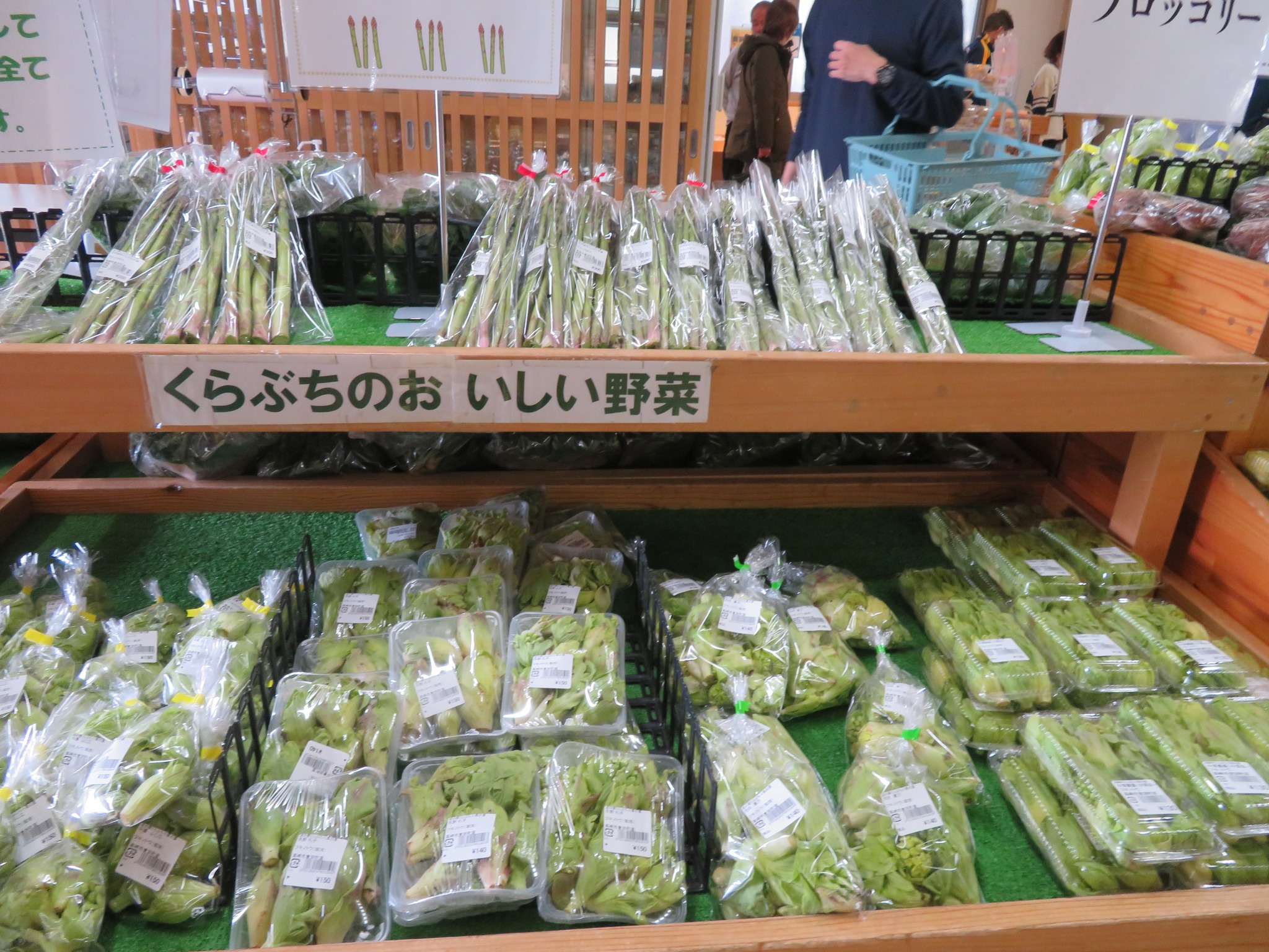 春の山菜、わらび、ウルイ、行者にんにく、たけのこ出始めました 