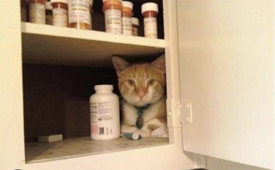 Vetsource discount codes for our... - Ark Animal Homecare | Facebook