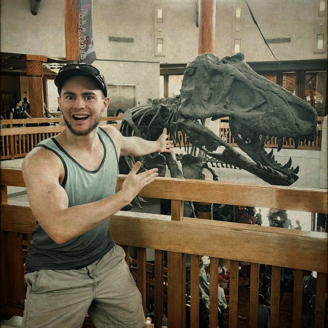 Dinosaurs - Carnotaurus skeleton on display at The Natural History ...