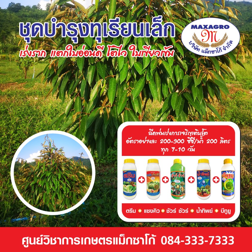 📌... - ลูกทุ่งแม็กซาโก้ สถานีดนตรีไร้พรมแดน ไทยแลนด์เน็ตเวิร์ค | Facebook