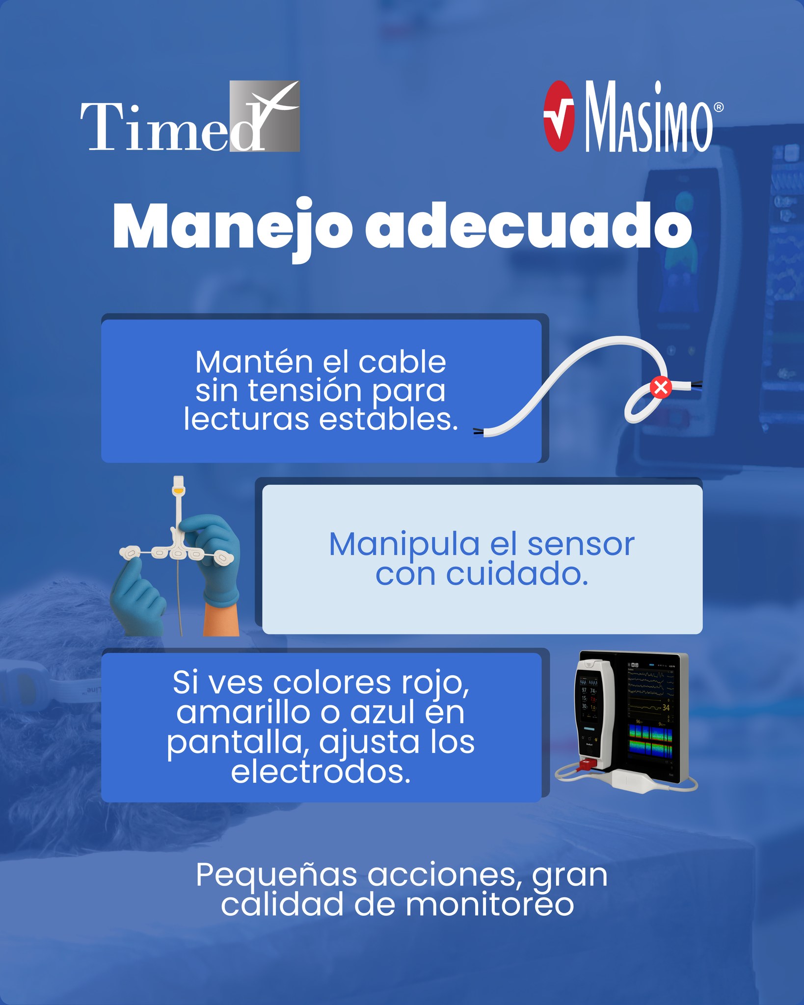 Timed - El 23 de septiembre conmemoramos el Día internacional del Perro ...