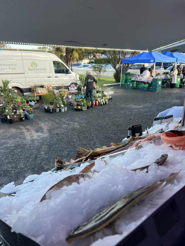 Fish - Our office this morning …. Russell, RSA carpark 8am-11:30am 🎣 ...