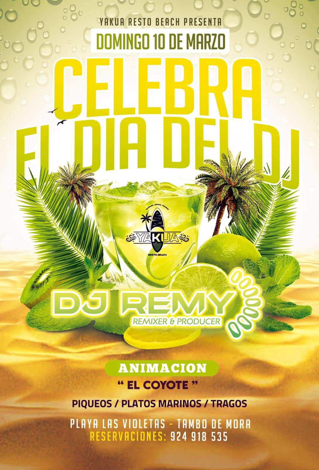 Dj Remy (Remixer & Producer)