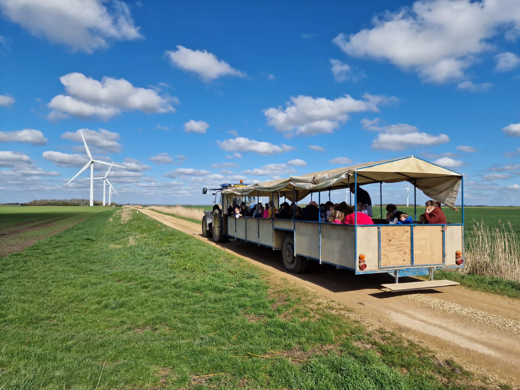 Vine - 🚜Summer Tractor & Trailer Rides!🚜 Summer fun for the whole ...