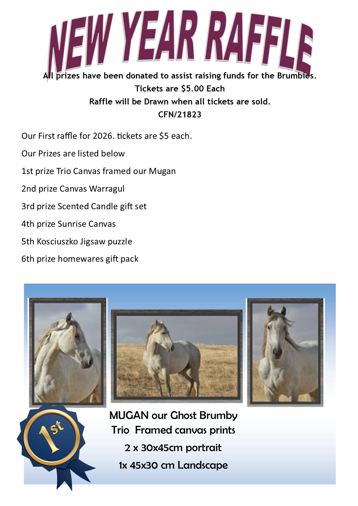 HOOFS2010 Inc Brumby Rescue... - HOOFS2010 Inc Brumby Rescue