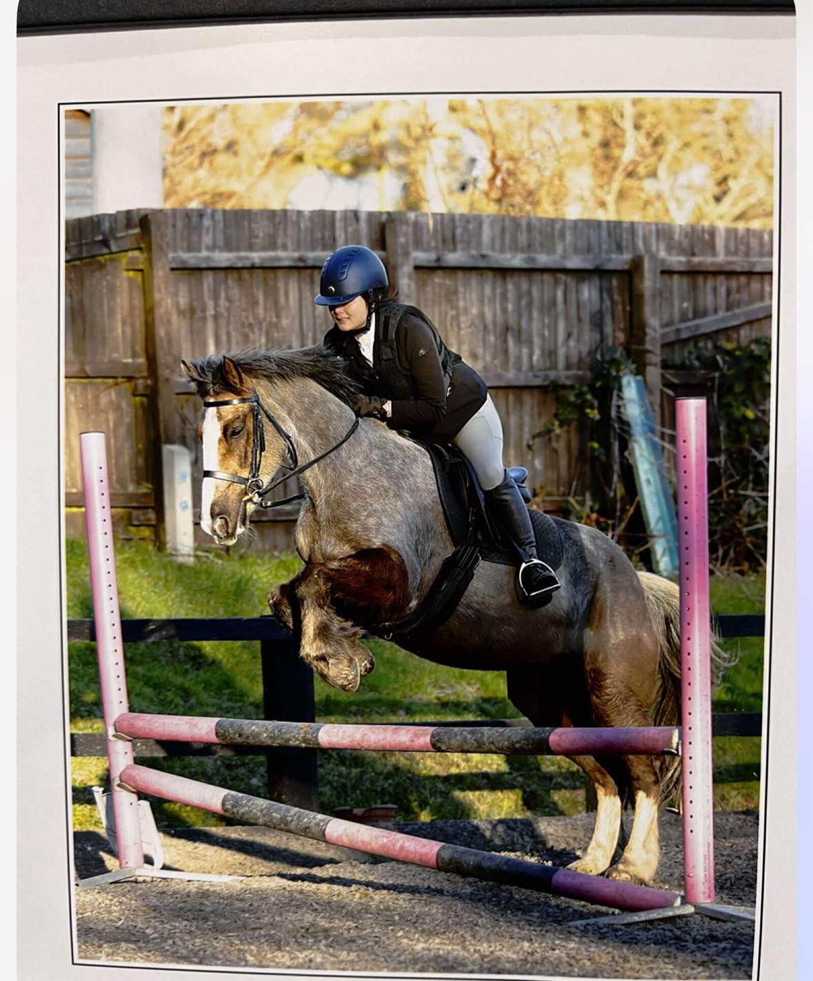 Polegate Equestrian Centre