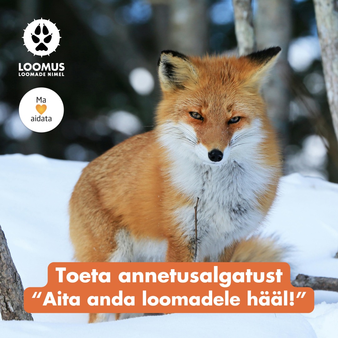 Loomus - Loomus added a new photo — with Noora Norppa...