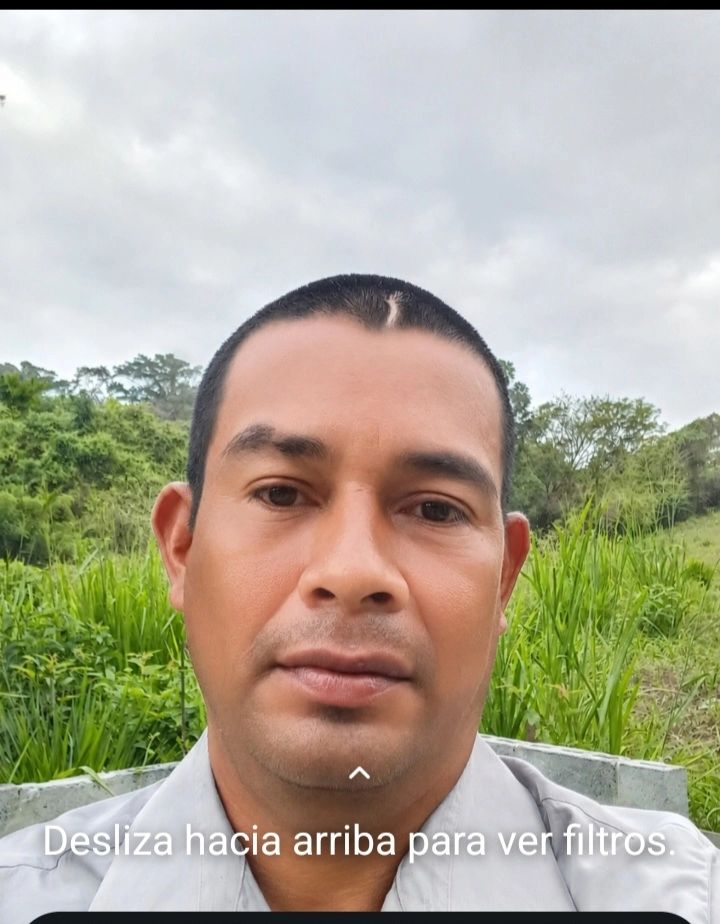 Tengo 20 años de panama pacora 🤍 . m Aa ・.6号 п ニ哪技I .ー1 日