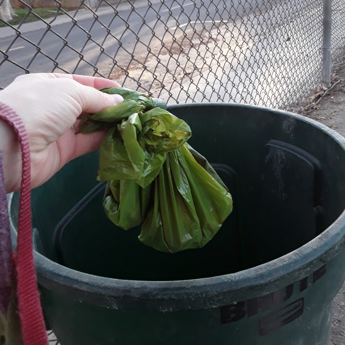 GreenerDavis - When it rains, dog and cat poop left on the ground can ...