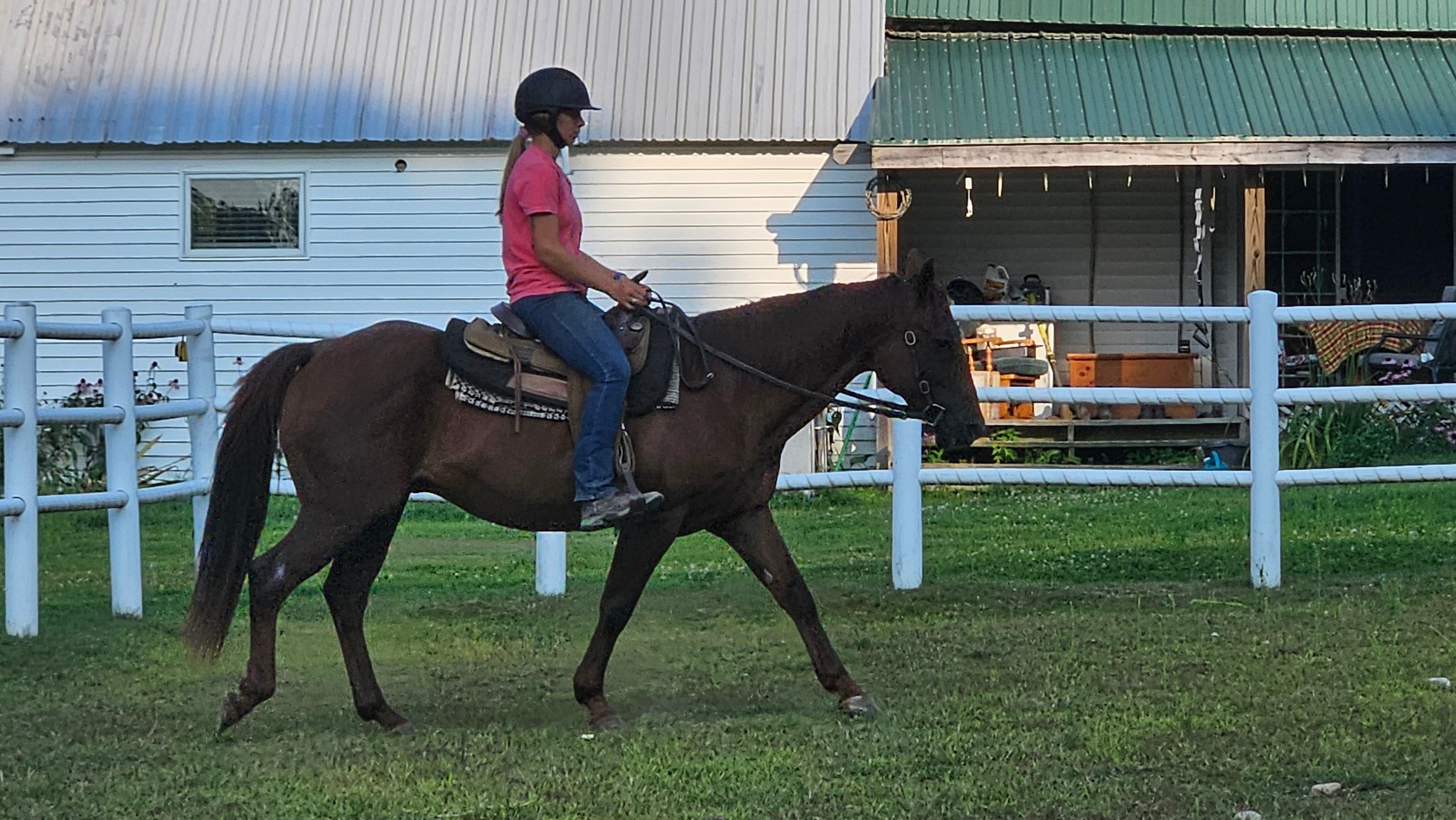 Carousel... - Carousel Horse Farm - Horseback Trail Rides